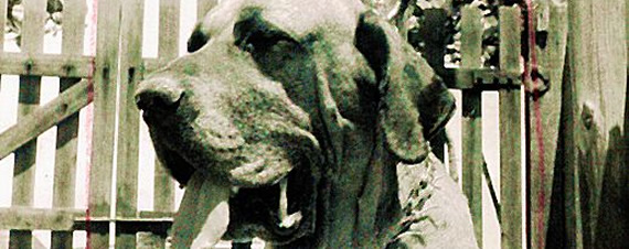 Original Fila Brasileiro: Genealogia 1