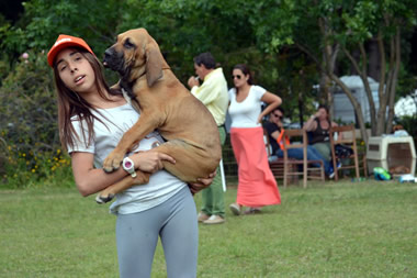 análise uruguai