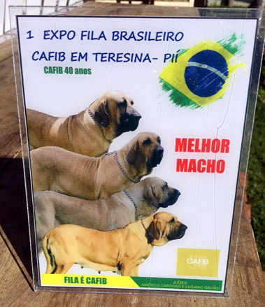 Expo Teresina
