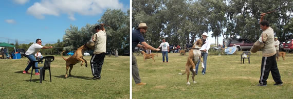 expo uruguai