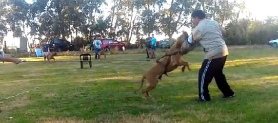 expo uruguai