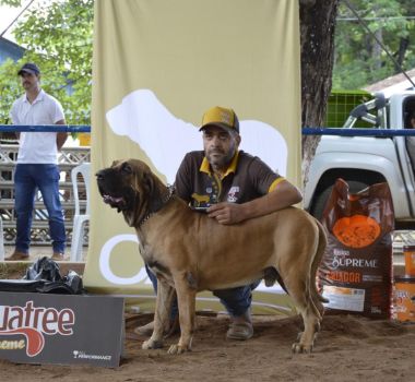 expo caxambu