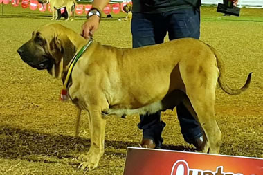 expo cruzeiro