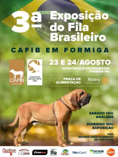 expo formiga